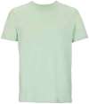 03981 Legend Unisex Legend Organic T-Shirt Frozen Green colour image